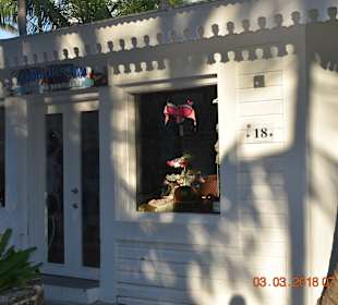 Stadtrundfahrt Bavaro