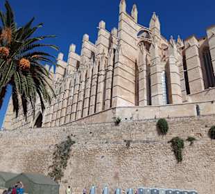 Wandern Playa de Palma - Palma
