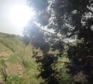 Im Naturpark Los Tilos de Moya