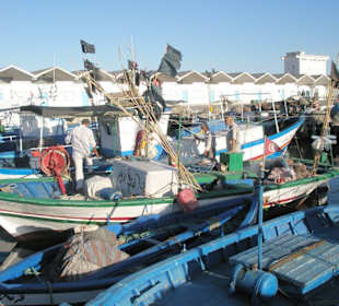 Bateaux de pêche port de mahdia