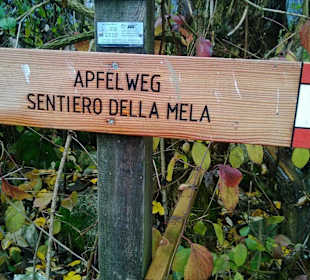 Wanderweg in der Umgebung