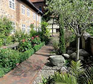 Impressionen aus dem Bibelgarten