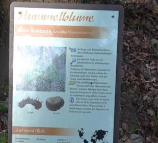 Wanderung Florianrunde