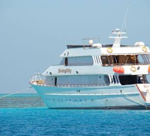 Lti Titanic Beach