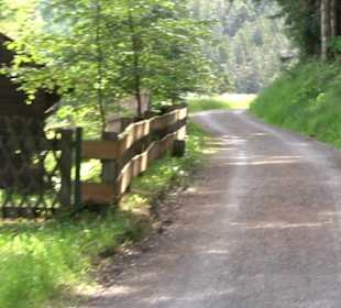 Wanderung Klosterquelle Klosterreichenbach