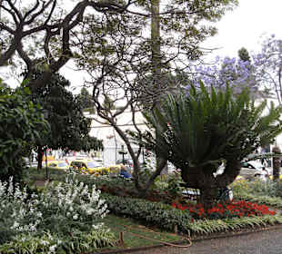 Park in Funchal