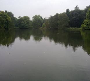 See im Rombergpark