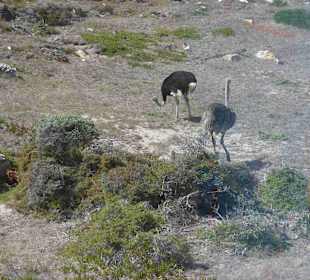 Kap der Guten Hoffnung