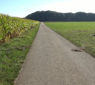 Kelten-Erlebnis-Pfad Erkenbrechtsweiler