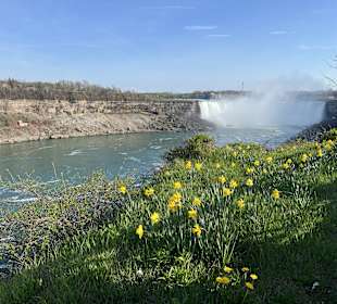 Niagarafälle / Horseshoe Falls