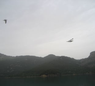 Ausflug Green Canyon