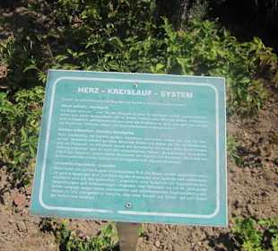 Kurpark Bad Bergzabern