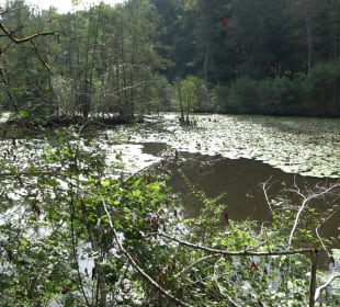 Schaichtalweg - Schlüsselsee