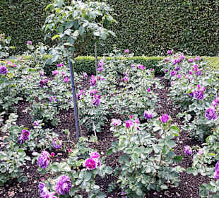 Schloßpark Kasteeltuinen Arcen