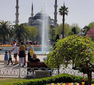 Hagia Sophia / Ayasofya