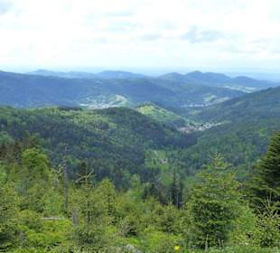 Schwarzwaldhochstraße