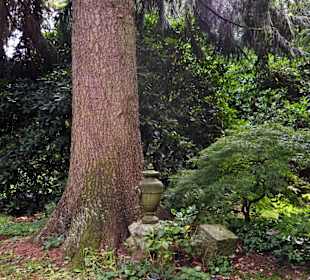 Кладбище Ольсдорф, Гамбург, 16 сентября 2013 года