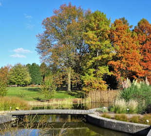 Impressionen aus dem Botanischen Garten Hamburg