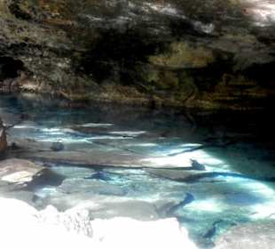 Cenote zwei Saskaleen-Ha