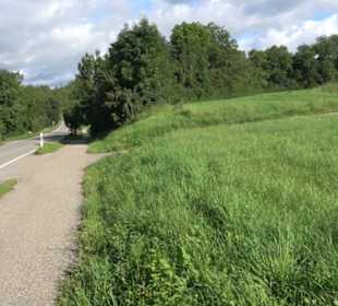 Themenweg Kaiserweg Zimmern