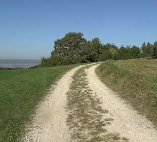 Bussen Schöpfungsweg Offingen