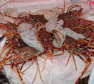 Impressionen aus dem Mercato Civico von Alghero