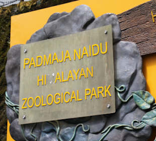 Padmaja Naidu Himalayan Darjeeling Zoo