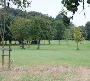 Von Bäumen begrenzt