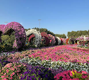 Dubai Miracle Garden