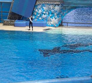 Sea World