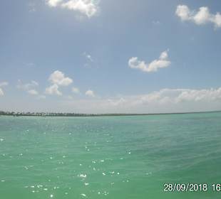 Isla Saona
