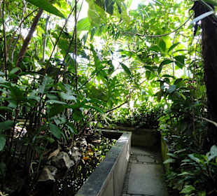 Botanischer Garten Erlangen