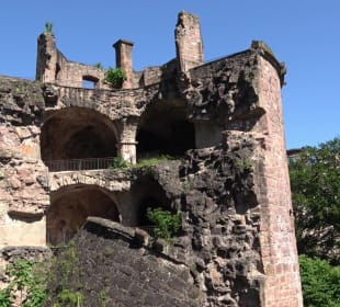 Schloss Heidelberg