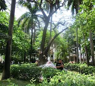 Grünes Kleinod in der Altstadt