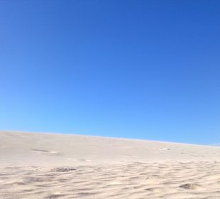 Dunas