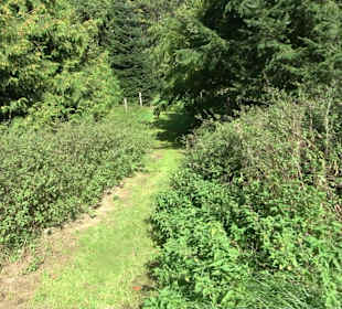 Arboretum Bondorf