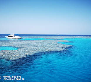 Delfinschwimmen Sataya Reef (Dolphin House)