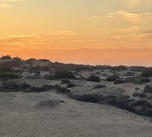 Dünen von Maspalomas