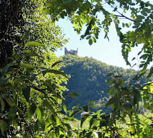 Burgruine Leuchtenburg