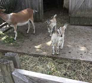 Hohenloher Freilandmuseum