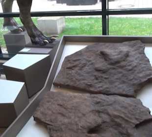 Niedersächsisches Landesmuseum