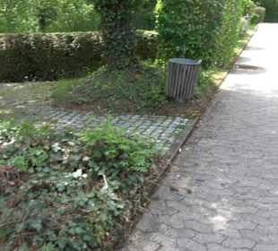Friedhof Bechtoldsweiler