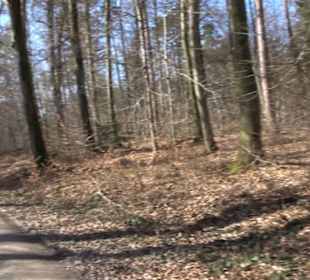 Historischer Rundwanderweg Aichtal