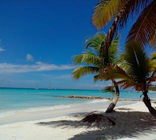 Ausflug nach Saona-ein karibischer Traum