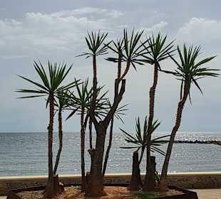 Promenade Cala Bona
