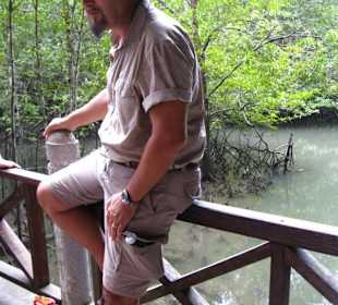 Peter in den Mangroven