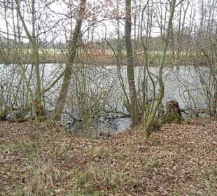 Naturschutzgebiet Boberger Niederung