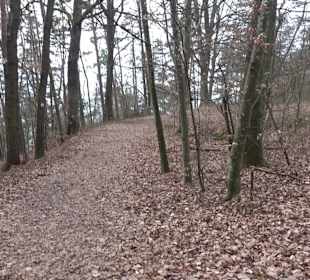 Unterjesinger Wengertwegle