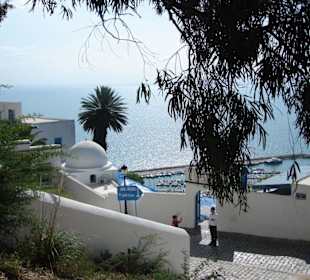 Alles Weiß, Blau und Grün