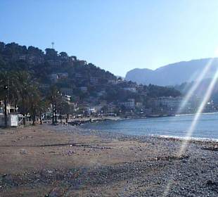 Christmas day sunshine